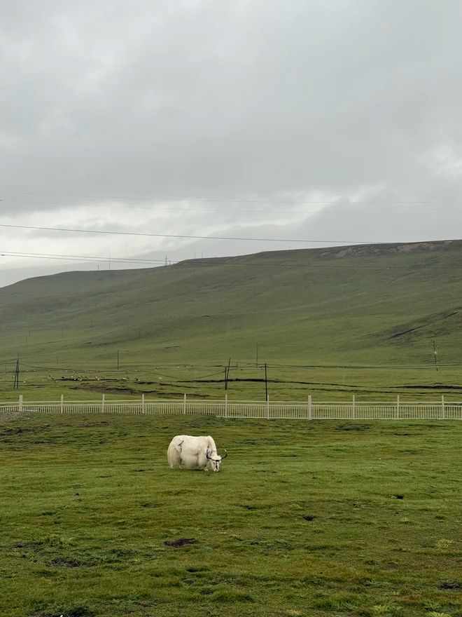 份甘青大环线最佳路线图与深度旅游攻略开元棋牌网站青甘大环线怎么玩?收藏这(图2) 份甘青大环线最佳路线图与深度旅游攻略开元棋牌网站青甘大环线怎么玩?收藏这(图2)